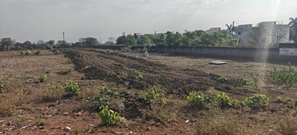 अवैध प्लॉटिंग पर कड़ा प्रहार, प्रशासन ने रोकी रजिस्ट्रियां