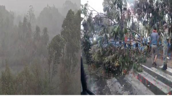 आंधी-तूफान और गरज-चमक के साथ हो रही झमाझम बारिश, लोगों को मिली गर्मी से राहत