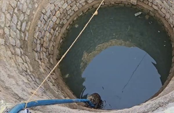 पानी की तलाश में पहुंचा तेंदुआ कुंए में गिरा, पाइप के सहारे लटका, रेस्क्यू की तैयारी
