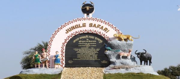 जंगल सफारी-नंदनवन जू की सैर अब होगी महंगी : टिकट दरों में 50% तक बढ़ोतरी, AC बस का किराया भी हुआ महंगा
