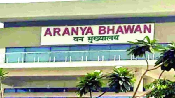 IFS अधिकारी ओपी यादव PCCF प्रमोट, राज्य सरकार ने जारी किया आदेश