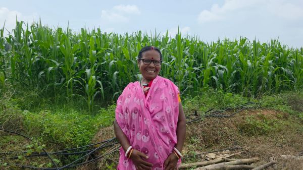 &lsquo;बिहान&rsquo; से मिला आर्थिक संबल, मक्का उत्पादन ने माया विश्वास को बनाया &lsquo;लखपति दीदी&rsquo;
