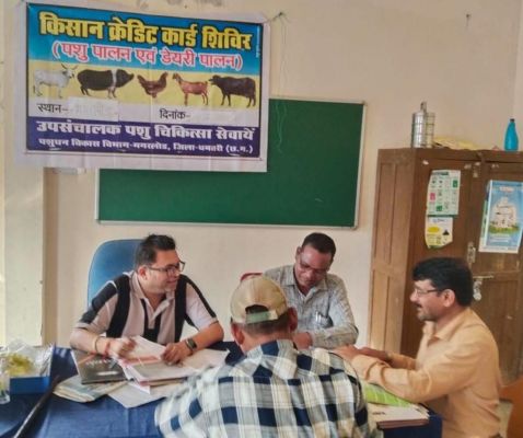 पशुपालन से आत्मनिर्भरता की ओर धमतरी के ग्रामीण, KCC से 93 पशुपालकों को मिला आर्थिक सहारा