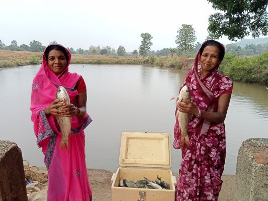 मछली पालन से सशक्त हुईं मनोरा और दुलदुला की महिलाएं, लाखों की आय से बदली जीवन की तस्वीर