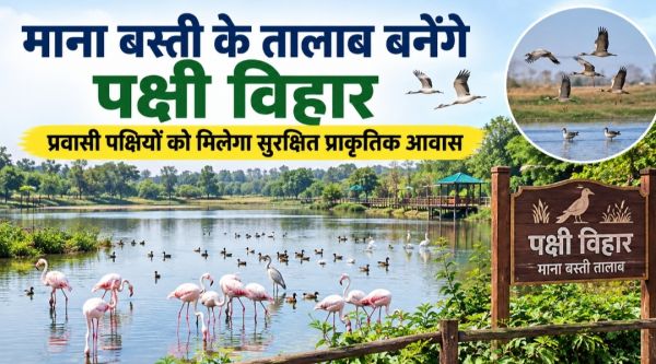 माना बस्ती के तालाब बनेंगे पक्षी विहार: प्रवासी पक्षियों को मिलेगा सुरक्षित प्राकृतिक आवास, जनपद CEO ने पंचायत को कार्ययोजना बनाने दिए निर्देश